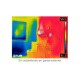 Cámara compacta Flir C2